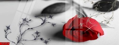 Chi tiết file tranh tráng gương File tranh gốc in tranh tường nền tổng hợp H23237 (ảnh gốc)