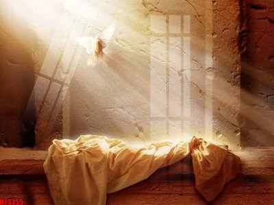 File in trần File tranh gốc in tranh tường nền tổng hợp H23355 (bản gốc) bầu trời