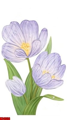 File tranh File tranh gốc in tranh tường nền tổng hợp H24056 (bản gốc) treo quán cafe