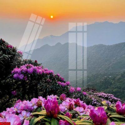 File in trần File tranh gốc in tranh tường nền tổng hợp H24206 (file gốc) chủ đề vũ trụ