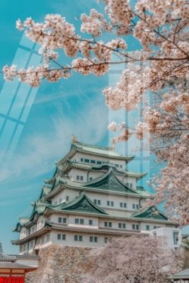 File gốc File tranh gốc in tranh tường nền tổng hợp H24333 (PNG) chất lượng cao