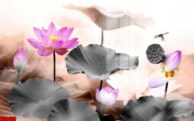 File in trần File tranh gốc in tranh tường nền tổng hợp H24488 (file gốc) chủ đề vũ trụ