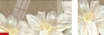 File in trần File tranh gốc in tranh tường nền tổng hợp H24684 (file gốc) phong thủy