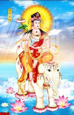 Tải file File tranh gốc in tranh tường nền tổng hợp H24940 (ảnh gốc) in gạch 3D