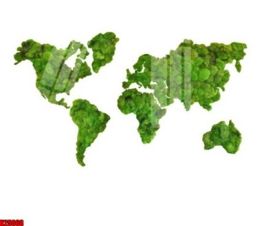 File tranh gốc File tranh gốc in tranh tường nền tổng hợp H25068 (bản quyền) độc đáo