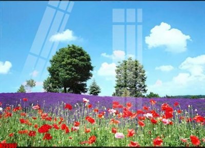 Tải file gốc File tranh gốc in tranh tường nền tổng hợp H25967 (in tráng gương) cao cấpFile gốc File tranh gốc in tranh tường nền tổng hợp H25967 (in ấn) phiên bản độc quyền