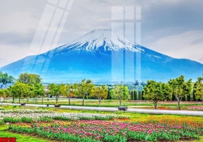 File gốc in ấn File tranh gốc in tranh tường nền tổng hợp H26132 chất lượng vượt trội