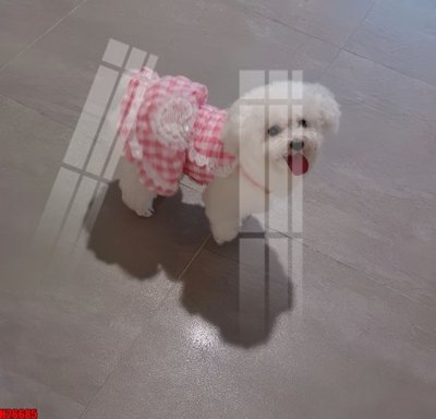 Tải file gốc File tranh gốc in tranh tường nền tổng hợp H26685 (bản PSD) chỉnh sửa được