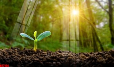 File ảnh File tranh gốc in tranh tường nền tổng hợp H27164 (gốc) in backdrop sự kiện