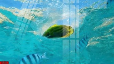 File gốc File tranh gốc in tranh tường nền tổng hợp H27276 (in lụa) tranh mã đáo