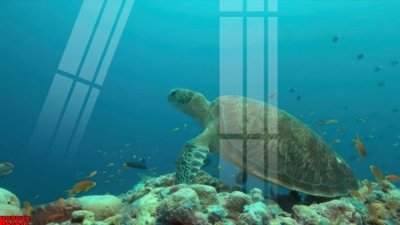 File ảnh File tranh gốc in tranh tường nền tổng hợp H27277 (gốc) in Hiflex