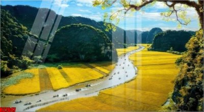 File in trần File tranh gốc in tranh tường nền tổng hợp H27647 (bản gốc) bầu trời