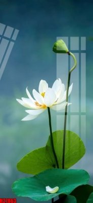 File tranh File tranh gốc in tranh tường nền tổng hợp H27863 (gốc) phong cách tối giản