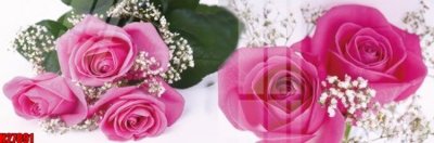 File ảnh File tranh gốc in tranh tường nền tổng hợp H27891 (gốc) in PP, decal