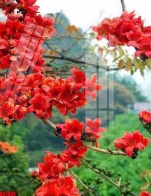 File tranh quảng cáo File tranh gốc in tranh tường nền tổng hợp H27994 (file gốc) chuyên nghiệp