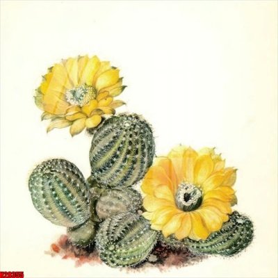 Download file tranh File tranh gốc in tranh tường nền tổng hợp H28355 (file gốc PSD)