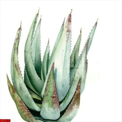 File gốc File tranh gốc in tranh tường nền tổng hợp H28359 (cho in UV) siêu nét