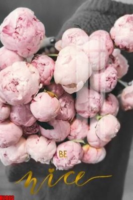 File gốc in tráng gương File tranh decor tranh bộ treo tường tổng hợp H2863 chi tiết