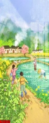 File tranh File tranh gốc in tranh tường nền tổng hợp H28945 (gốc) in trên kính