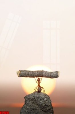 Tải xuống file tranh gốc File tranh gốc in tranh tường nền tổng hợp H29001 (PSD/TIFF)