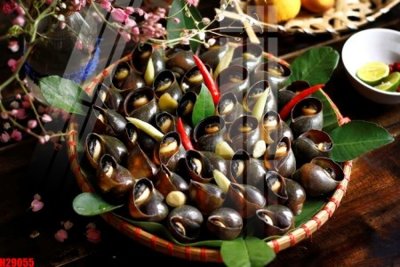 Tải file tranh File tranh gốc in tranh tường nền tổng hợp H29055 (gốc) tại Filetranh.com