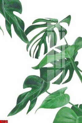 Tải file File tranh decor tranh bộ treo tường tổng hợp H2911 (PSD) cho in ấn quảng cáo