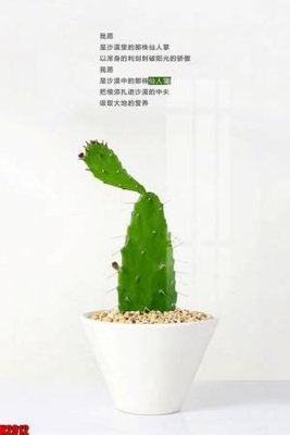 File in ấn File tranh decor tranh bộ treo tường tổng hợp H2912 (bản gốc) sắc nét