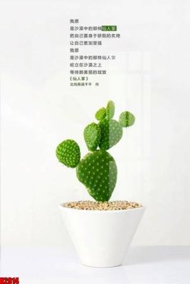 Tải file File tranh decor tranh bộ treo tường tổng hợp H2914 (gốc) in ấn ngay lập tức