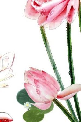 File gốc File tranh decor tranh bộ treo tường tổng hợp H2932 (in ấn) màu sắc trung thực