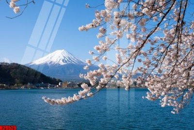 Tải file gốc File tranh gốc in tranh tường nền tổng hợp H29529 (in tráng gương) 5DFile gốc File tranh gốc in tranh tường nền tổng hợp H29529 (in ấn) phiên bản premium