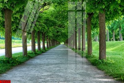 File tranh File tranh gốc in tranh tường nền tổng hợp H29553 (file gốc) chủ đề phong thủy