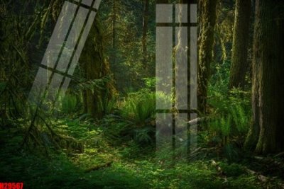 Download file gốc File tranh gốc in tranh tường nền tổng hợp H29567 (in mica) logo