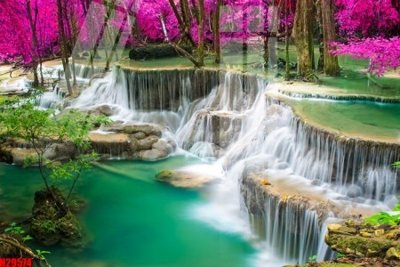 Tải file File tranh gốc in tranh tường nền tổng hợp H29574 (gốc) in trên mọi chất liệu