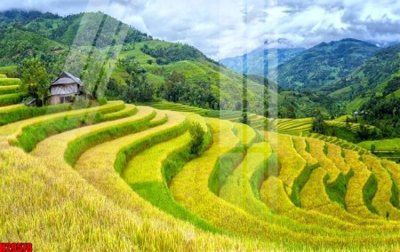 File gốc File tranh gốc in tranh tường nền tổng hợp H29578 (in tráng gương) nghệ thuật