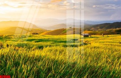 File gốc File tranh gốc in tranh tường nền tổng hợp H29586 (in tráng gương) sang trọng