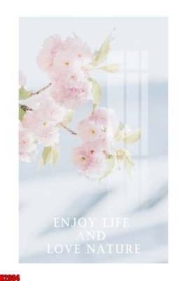 File in trần File tranh decor tranh bộ treo tường tổng hợp H2984 (bản gốc) 5D