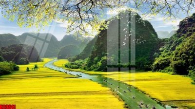 File ảnh File tranh gốc in tranh tường nền tổng hợp H29841 (gốc) cho trang trí nội thất