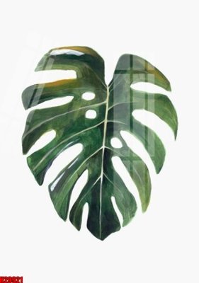 File tranh File tranh gốc in tranh tường nền tổng hợp H29921 (ảnh gốc) độ nét vượt trội