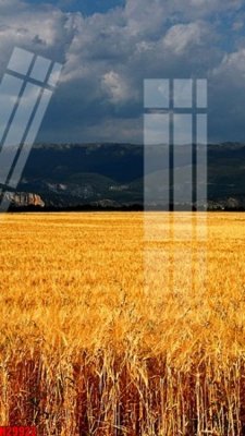 File ảnh File tranh gốc in tranh tường nền tổng hợp H29922 (gốc) in Hiflex