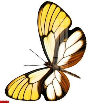 File tranh File tranh gốc in tranh tường nền tổng hợp H30093 (bản gốc) in canvas