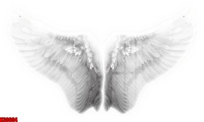 Download file gốc File tranh gốc in tranh tường nền tổng hợp H30094 (in mica) logo