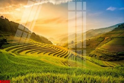 File gốc File tranh gốc in tranh tường nền tổng hợp H30467 (in ấn) không giới hạn