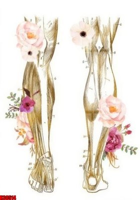 File in ấn File tranh gốc in tranh tường nền tổng hợp H30514 (bản gốc) cao cấp