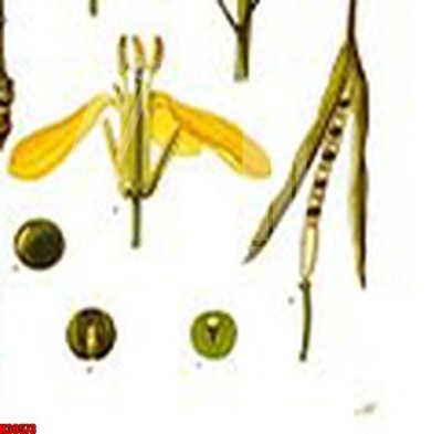 Download file gốc File tranh gốc in tranh tường nền tổng hợp H30573 (in lụa) hoa lá