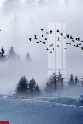 File tranh quảng cáo File tranh decor tranh bộ treo tường tổng hợp H3062 (download file gốc)