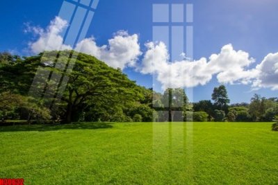 File tranh File tranh gốc in tranh tường nền tổng hợp H30632 (gốc) phong cách tối giản