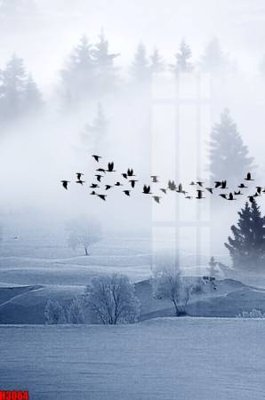 File tranh File tranh decor tranh bộ treo tường tổng hợp H3064 (bản gốc) treo quán cafe