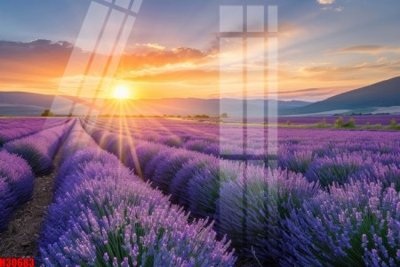 Download file File tranh gốc in tranh tường nền tổng hợp H30683 (gốc) in mica đèn LED