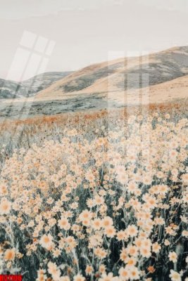 Tải file gốc File tranh gốc in tranh tường nền tổng hợp H31106 (in không vỡ ảnh)