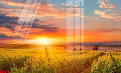 File gốc File tranh gốc in tranh tường nền tổng hợp H31271 (in lụa) cao cấp